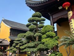 -西林禅寺