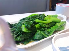 白焯菜心-柠檬树茶餐厅(海雅缤纷城店)