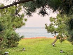 -青岛海滨风景区
