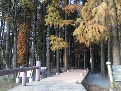 -东湖落雁景区