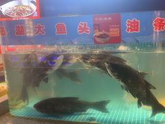 -鸽子侯·家宴·平价海鲜(市图书馆店)