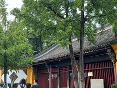 -名善山珍·野生菌汤锅(文殊院店)