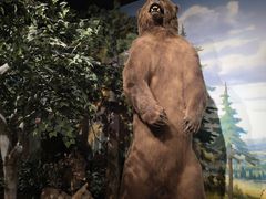 -陕西自然博物馆