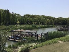 -上海长兴岛郊野公园