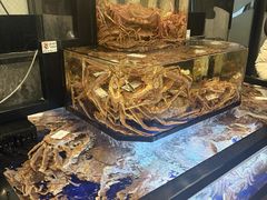 -蟹道乐(道顿堀本店)