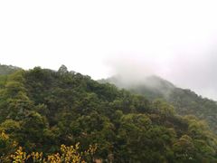 -秦岭风景区