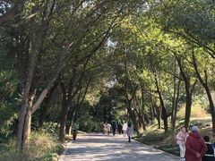 -蜀冈西峰生态公园