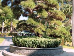 -厦门宝龙铂尔曼大酒店·海鲜自助餐厅