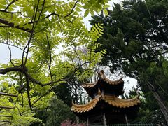 -嘉定紫藤园