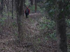 -惠山国家森林公园