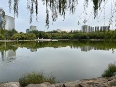 -青城公园