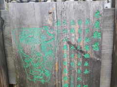 -武清南湖绿博园