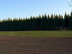 -汉长安城未央宫国家考古遗址公园