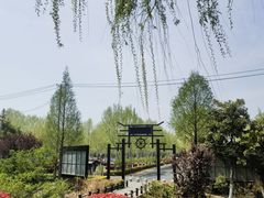 -合肥滨湖国家森林公园