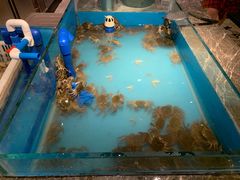 -星伦多 自助料理(圆融店)