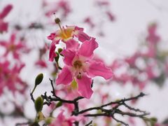 -晓港公园