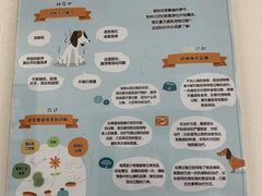 -美联众合爱康动物医院•复杂内科•肿瘤科•牙科•腔镜诊疗中心