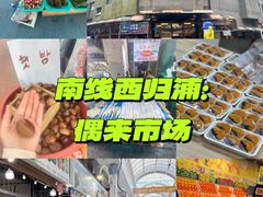 -西归浦每天偶来市场