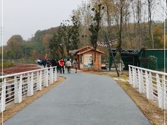 -佛手湖郊野公园
