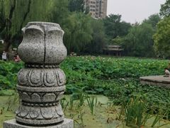 -莲湖公园