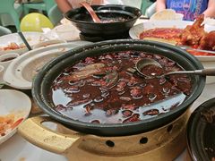 -眉州东坡·熊猫主题餐厅(枫蓝店)