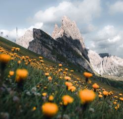 -WAVE SODA摄影工作室