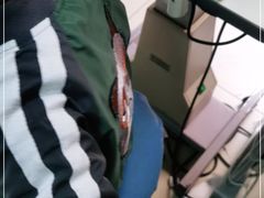 -首都医科大学附属北京同仁医院(南区)