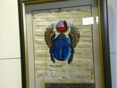 -上海昆虫博物馆