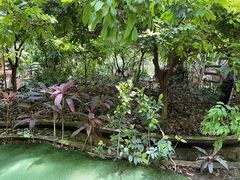 -呀路古热带植物园