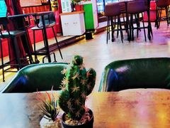 大堂-Famous肥猫墨西哥音乐餐吧(五棵松华熙LIVE店)