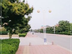 -日照海滨国家森林公园