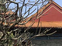 -南沙天后宫景区