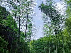-四明山国家森林公园