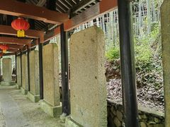 -严子陵钓台(富春江小三峡)