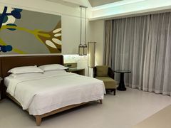 -三亚海棠湾万丽度假酒店