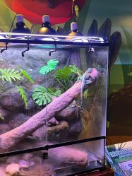 点击看大图 -酷嗒动物文化乐园(cutezoo西溪乐天城店)