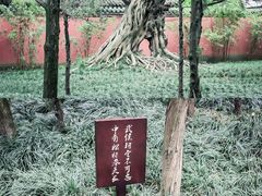 -成都武侯祠博物馆