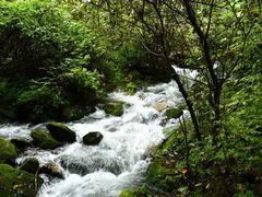 -五女峰国家森林公园