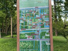 -黄海国家森林公园