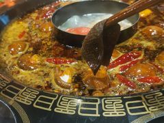 鲜毛肚-重庆渝达老火锅(春熙路店)