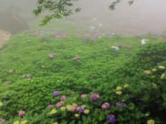 -鼓岭旅游度假区