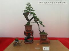 -重庆市江北嘴中央商务区中央公园