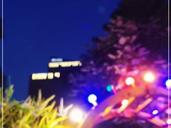 -麦落精酿啤酒餐吧(先农大院店)