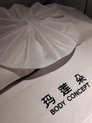 -玛莲朵·海菲秀冰珀科