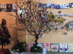 景观位-鱼塘剧本推理桌游吧