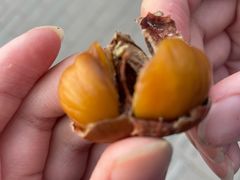 -秋栗香(地安门店)