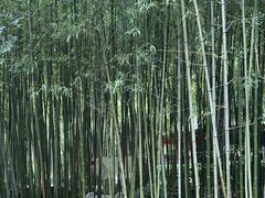 -竹泉村旅游度假区
