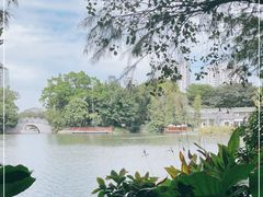 -荔湾湖公园