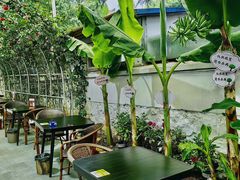 -单家老院·院子里的青岛菜(沙子口店)