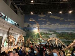 -自贡恐龙博物馆